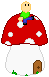 user