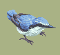 Nuthatch icon/pixelart