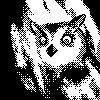 Koji