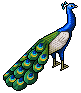 Isometric Peacock icon/pixelart
