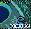 Peacock icon/pixelart