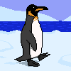 Pinguino icon/pixelart