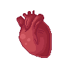 Anatomical Heart icon/pixelart