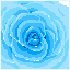 Frost Rose icon/pixelart