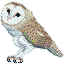 Tyto Alba icon/pixelart