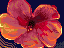 Added to favorites @ 8/26/2008 17:56