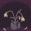 Dead Flowers