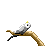 Parrot icon/pixelart