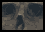 Skull icon/pixelart