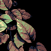 Added to favorites @ 9/30/2018 00:14