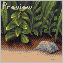 Down in the dirt icon/pixelart