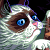 Added to favorites @ 6/24/2014 09:41