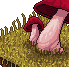 Mushrooms icon/pixelart