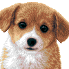Added to favorites @ 11/19/2013 19:43