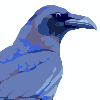 Raven study icon/pixelart