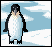 Non-Fad Penguin  icon/pixelart