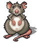 Year of the Rat