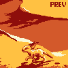 Sand Foxes
