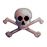 skull n' crossbones icon/pixelart