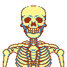 Skullyton icon/pixelart