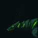 Sea Monster icon/pixelart