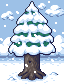 Boreal