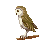 Owl icon/pixelart