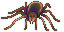 Goliath