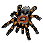 Spider icon/pixelart
