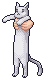 Long cat icon/pixelart