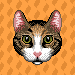 Sweet Potato icon/pixelart