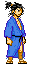 Shinmen Takezo icon/pixelart