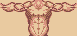 Anatomy Practice icon/pixelart