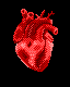 Added to favorites @ 8/5/2018 12:25