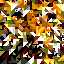 Added to favorites @ 2/19/2012 09:48