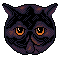Toffee the cat icon/pixelart
