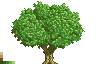 Oak Tree icon/pixelart