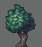 Tree study icon/pixelart