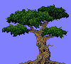 Added to favorites @ 9/20/2005 10:13