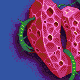 VITALogo  icon/pixelart