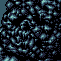 Added to favorites @ 4/25/2015 10:38