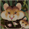 wild hamsters icon/pixelart