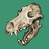 Wolf Skull icon/pixelart