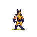 Wolverine icon/pixelart