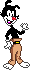 y icon/pixelart