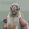 Birdishm study 5 icon/pixelart