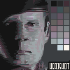Wildflowers icon/pixelart