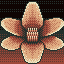 Rusty Flower  icon/pixelart
