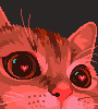 heart eye cat meme/pixelart