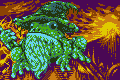 Wizard Wars: Wart the Croaking
